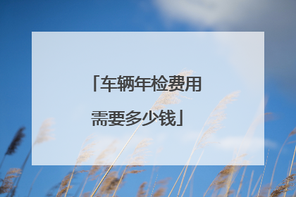 车辆年检费用需要多少钱