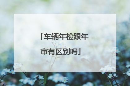 车辆年检跟年审有区别吗