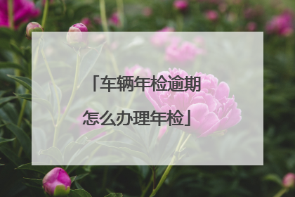 车辆年检逾期怎么办理年检