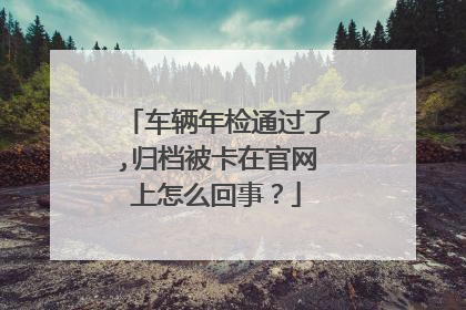 车辆年检通过了,归档被卡在官网上怎么回事？