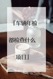 车辆年检都检查什么项目
