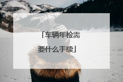 车辆年检需要什么手续