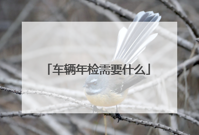 车辆年检需要什么