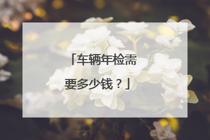 车辆年检需要多少钱？