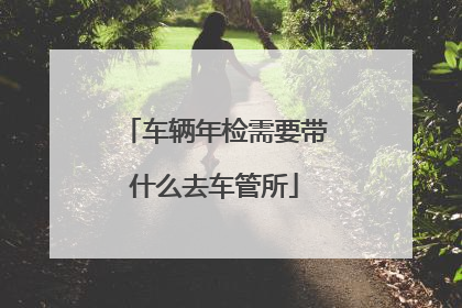 车辆年检需要带什么去车管所