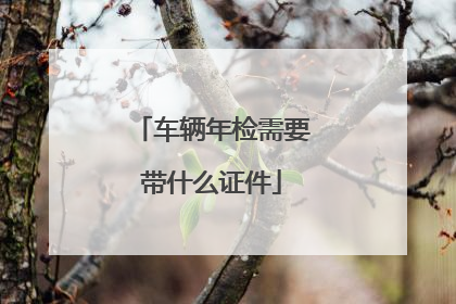 车辆年检需要带什么证件