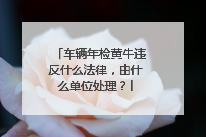 车辆年检黄牛违反什么法律，由什么单位处理？