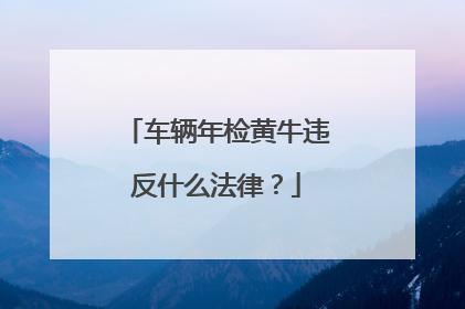 车辆年检黄牛违反什么法律？