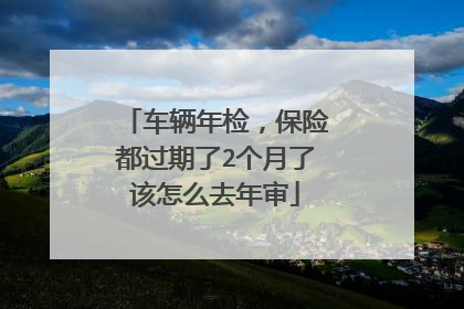 车辆年检，保险都过期了2个月了该怎么去年审
