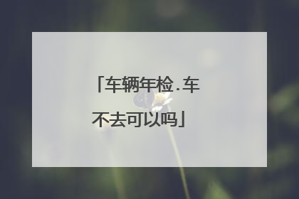 车辆年检.车不去可以吗