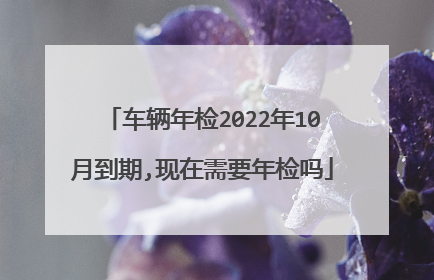 车辆年检2022年10月到期,现在需要年检吗