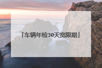 车辆年检30天宽限期