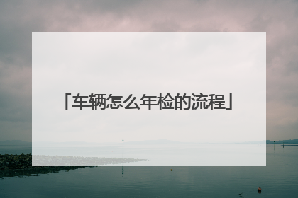 车辆怎么年检的流程
