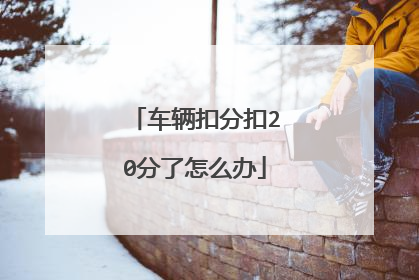 车辆扣分扣20分了怎么办