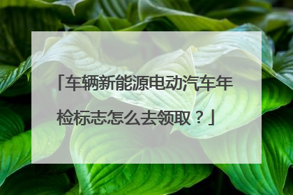 车辆新能源电动汽车年检标志怎么去领取？