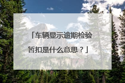 车辆显示逾期检验暂扣是什么意思？