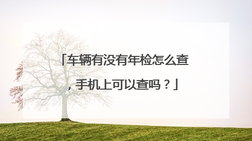 车辆有没有年检怎么查，手机上可以查吗？