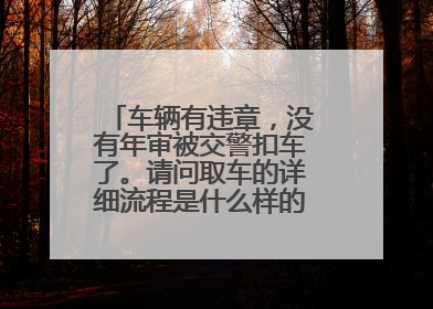 车辆有违章，没有年审被交警扣车了。请问取车的详细流程是什么样的？拜托各位大神
