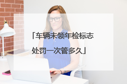 车辆未领年检标志处罚一次管多久
