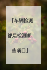 车辆检测都是检测哪些项目