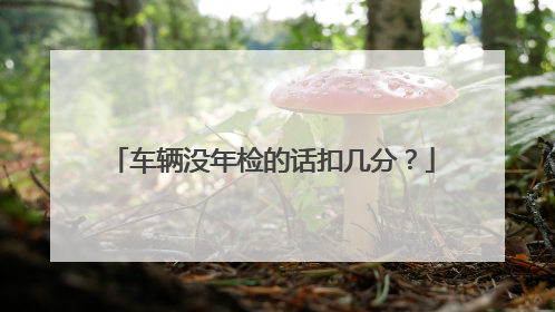 车辆没年检的话扣几分？