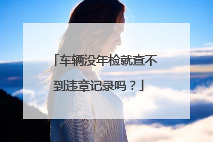 车辆没年检就查不到违章记录吗？
