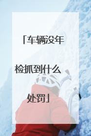 车辆没年检抓到什么处罚