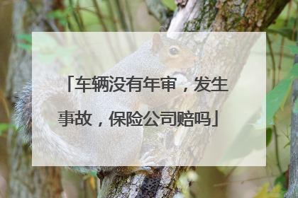 车辆没有年审，发生事故，保险公司赔吗