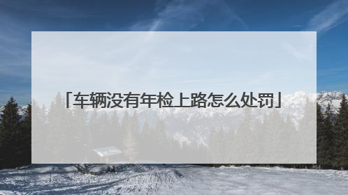 车辆没有年检上路怎么处罚