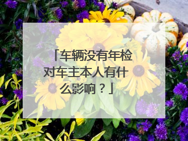 车辆没有年检对车主本人有什么影响？