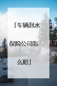 车辆泡水保险公司怎么赔