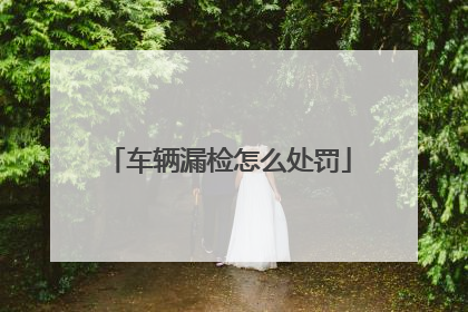 车辆漏检怎么处罚