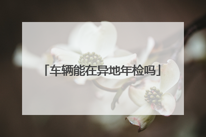 车辆能在异地年检吗