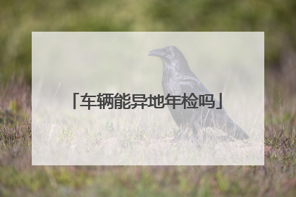 车辆能异地年检吗