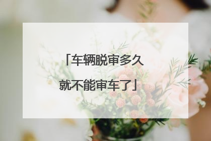 车辆脱审多久就不能审车了