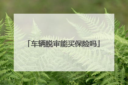 车辆脱审能买保险吗