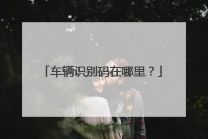 车辆识别码在哪里？