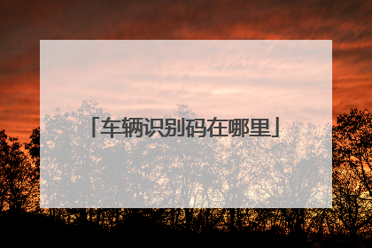 车辆识别码在哪里