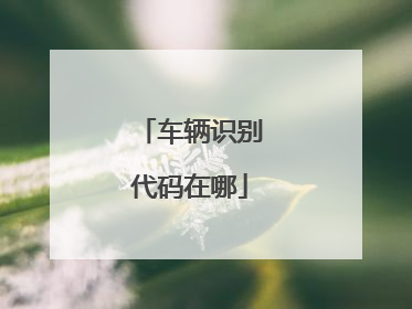 车辆识别代码在哪