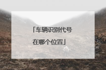 车辆识别代号在哪个位置