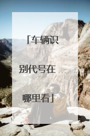 车辆识别代号在哪里看