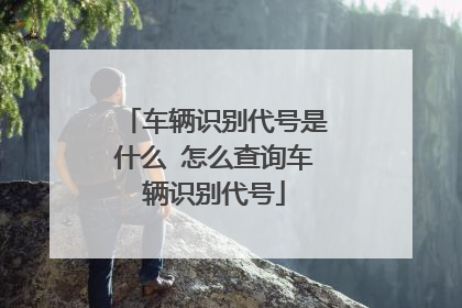 车辆识别代号是什么 怎么查询车辆识别代号