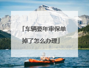 车辆要年审保单掉了怎么办理