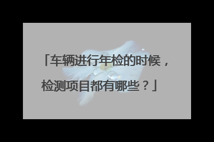车辆进行年检的时候，检测项目都有哪些？