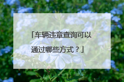 车辆违章查询可以通过哪些方式？