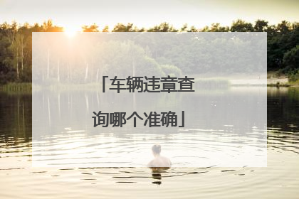 车辆违章查询哪个准确