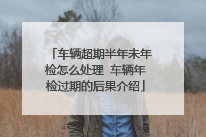 车辆超期半年未年检怎么处理 车辆年检过期的后果介绍