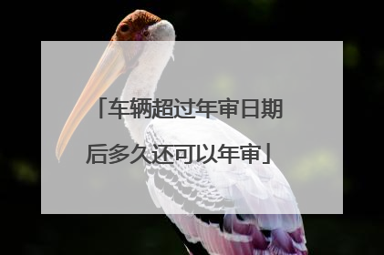 车辆超过年审日期后多久还可以年审