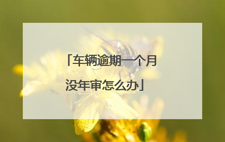 车辆逾期一个月没年审怎么办