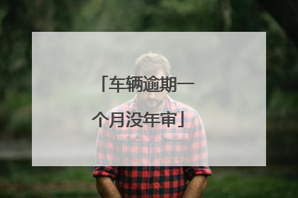 车辆逾期一个月没年审